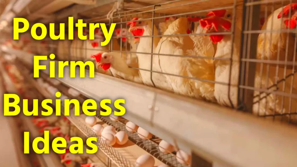 Poultry Farm Business Ideas